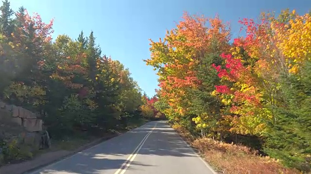 POV:在阳光明媚的日子里，行驶在风景优美的高速公路上，穿过五颜六色的落叶林视频素材