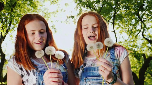两个红色的双胞胎姐妹正在玩蒲公英花。风扇在吹着他们，他们的头发突出了阳光。欢快的画面，快乐的童年。180帧/秒的慢动作视频视频素材