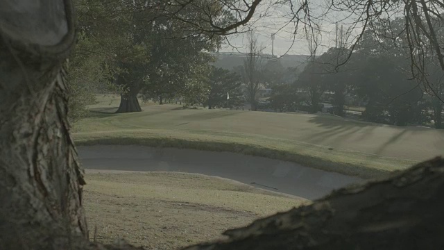 高尔夫球在果岭上的推杆视频素材