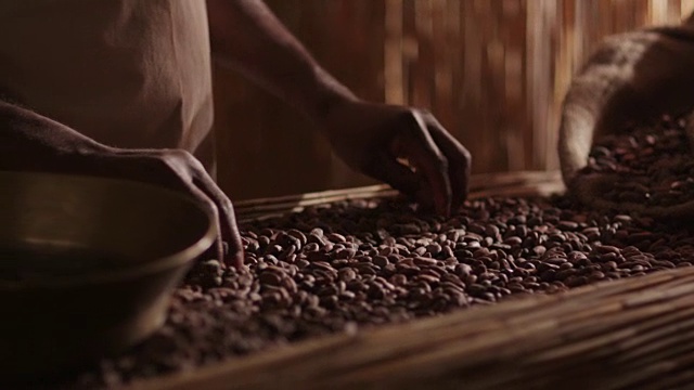 非洲工人正在分类咖啡豆。视频素材