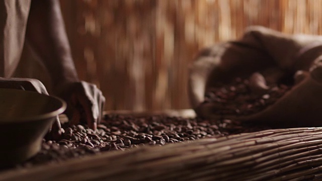 非洲工人正在分类咖啡豆。视频素材