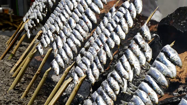 食物沙丁鱼鱼串火烤架在火视频下载