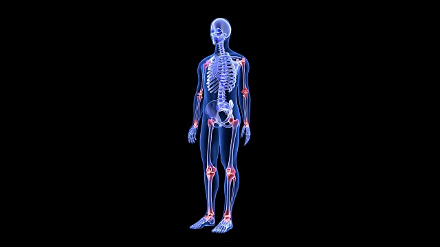 关节痛。蓝色人体解剖体3D扫描渲染-旋转无缝循环视频下载