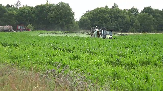 拖拉机在公路附近用除草剂喷洒玉米。视频素材