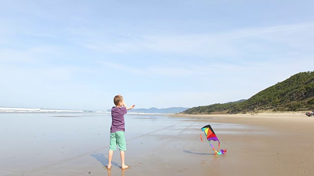 小男孩在海滩上放风筝视频素材