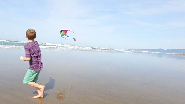 小男孩在海滩上放风筝视频素材