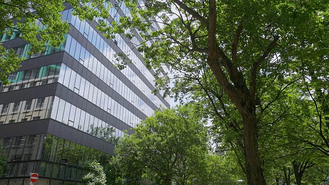 建筑有玻璃窗和新鲜的绿树。视频素材