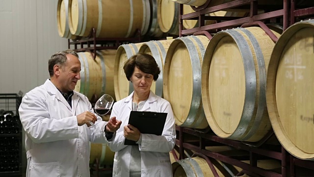 专家和酿酒师评估葡萄酒的质量视频素材