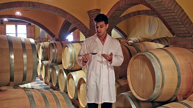 男子检查红葡萄酒的陈酿过程视频素材
