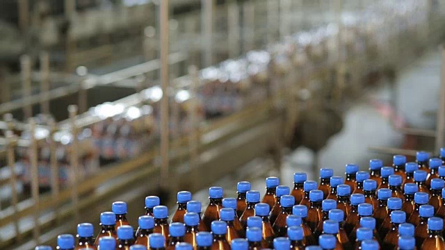 啤酒在工厂生产视频素材