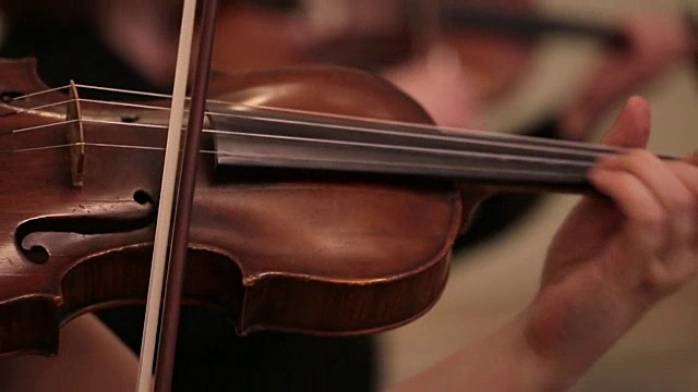 小提琴现场演唱会视频素材