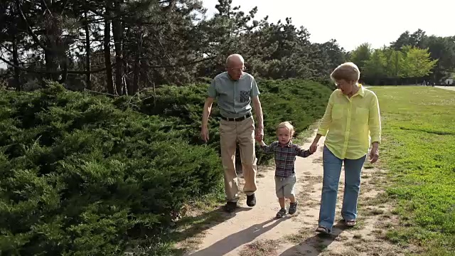 蹒跚学步的小男孩和他的祖父母在公园散步视频素材