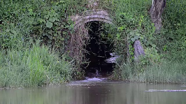 沟引水从山到大池塘。视频下载