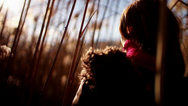 日落时草地上的年轻女子视频素材
