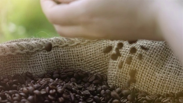 用慢镜头抓取咖啡豆的视频视频素材