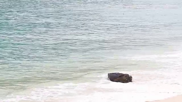 海浪拍打着漂浮在海滩上的树枝。视频下载