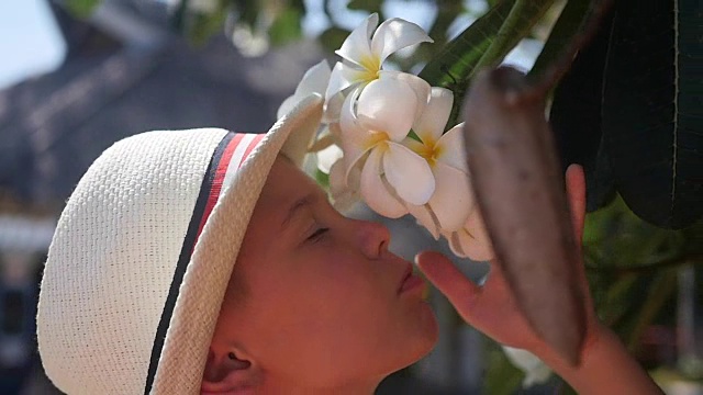 那家伙在享受热带开花树木的芳香。Plumeria视频下载