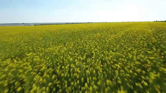 在乌克兰的春天，低空飞行的无人机以一种快速的方式拍摄农田视频下载