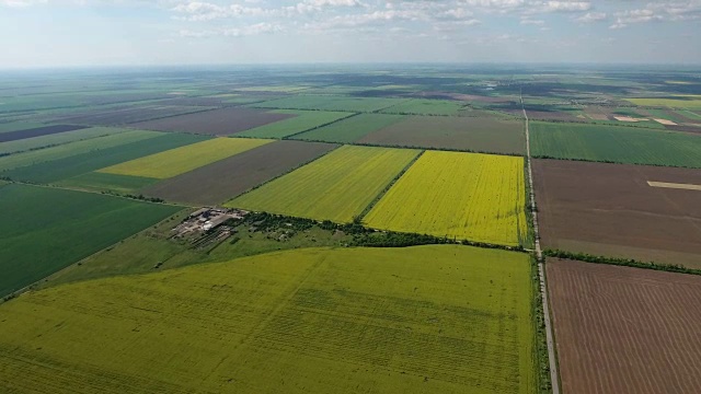 鸟瞰图，春天阳光明媚的乌克兰五彩田野视频下载