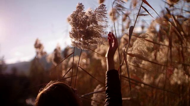 一个红头发的女人抚摸着田野里的植物视频素材