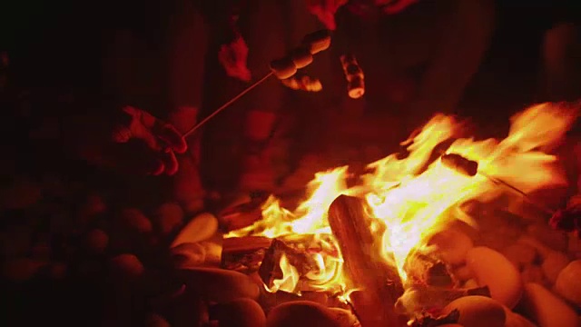 年轻的朋友们围坐在篝火旁，在海滩上烤棉花糖视频下载