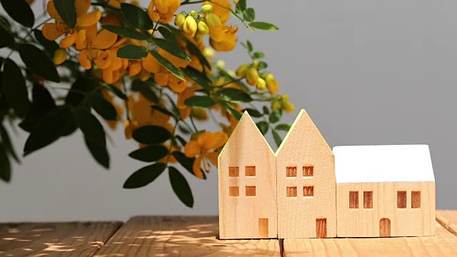 带花的房子的微型模型视频下载