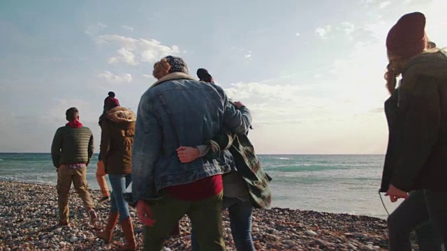 一群年轻夫妇和朋友在海滩上散步视频素材