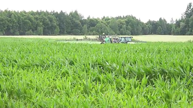玉米农田和拖拉机喷洒农药保护作物。FullHD视频素材