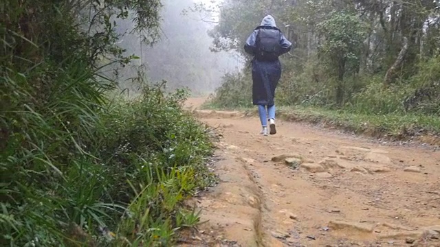 年轻的女孩在旅行中穿着雨衣在木头小径上慢跑。徒步女子与背包跑在热带潮湿的森林。女游客踩在丛林小径上。慢镜头后视图视频素材