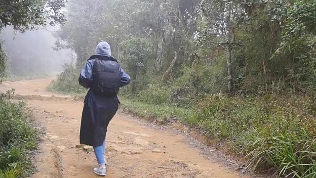 徒步女子与背包跑在热带潮湿的森林。年轻的女孩在旅行中穿着雨衣在木头小径上慢跑。跟随女游客踩在丛林小径。慢镜头后视图视频素材
