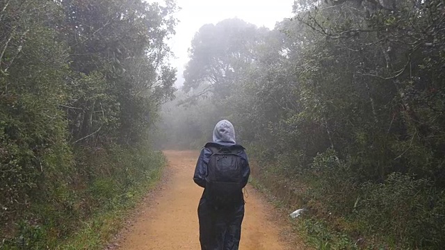 年轻的女孩在旅行中穿着雨衣在森林小径上。徒步女子背包行走在热带潮湿的森林。跟随女游客踩在丛林小径。慢镜头后视图视频素材
