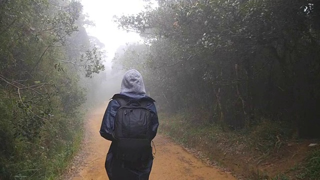 徒步女子背包行走在热带潮湿的森林。年轻的女孩在旅行中穿着雨衣在森林小径上。跟随女游客踩在丛林小径。慢镜头后视图视频素材