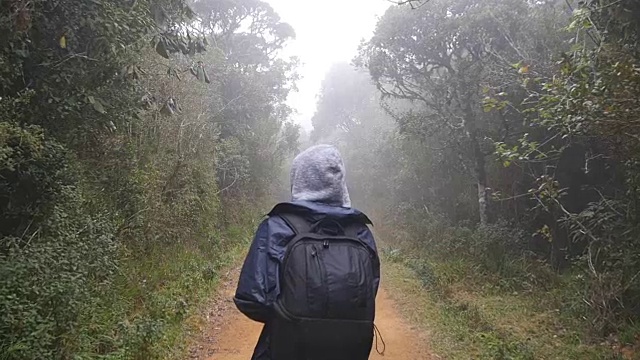 年轻的女孩在旅行中穿着雨衣在森林小径上。徒步女子背包行走在热带潮湿的森林。跟随女游客踩在丛林小径。慢镜头后视图视频素材