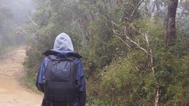 跟着一个背着背包的女游客走在热带森林里。穿雨衣的徒步女郎在潮湿的树林里。女旅行者踏在山间的丛林小径上。后方后视图视频素材