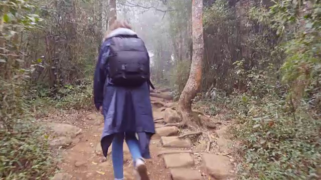 年轻的女孩在雨衣和背包去异国情调的木材小径旅行。徒步妇女走在热带潮湿的森林。跟随女游客踩在丛林小径。后方后视图视频素材