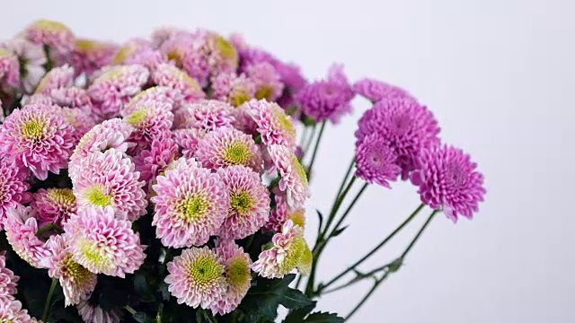 特写，鲜花，花束，旋转在白色的背景，花卉组成由粉红色的Santini视频下载