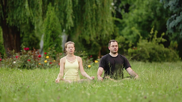 一个男人和一个女人在幸福中冥想。年轻的瑜伽教练在城市公园的草地上练习。成功的年轻人经常练习瑜伽。视频下载