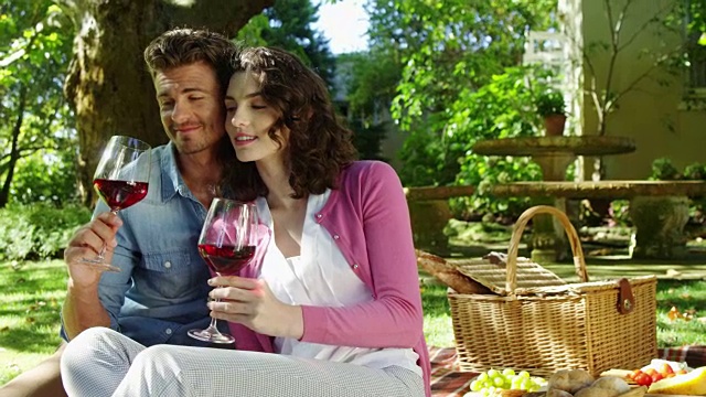 情侣在公园边喝红酒边互动视频素材