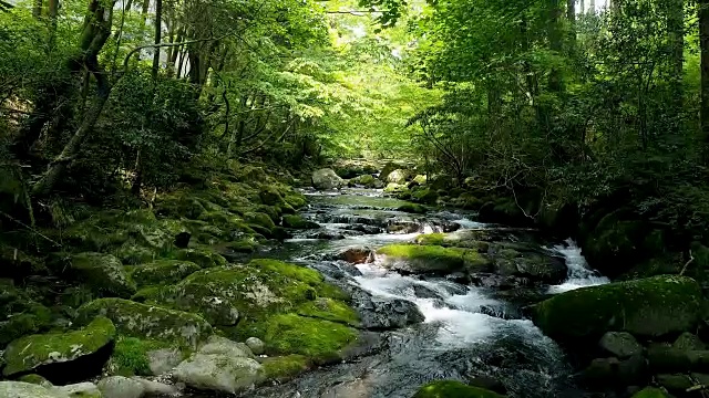 清澈溪流景观视频素材