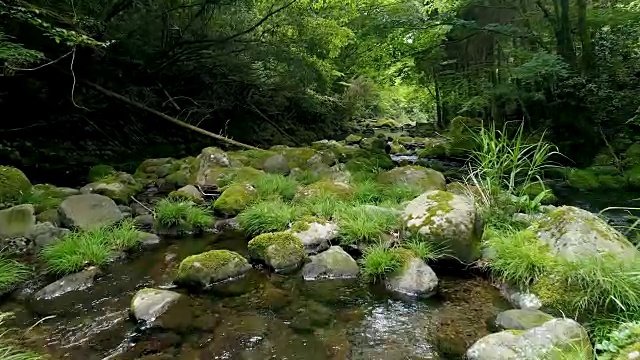 清澈溪流景观视频素材