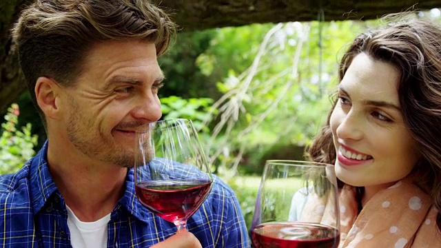 幸福的情侣在公园里喝红酒视频素材