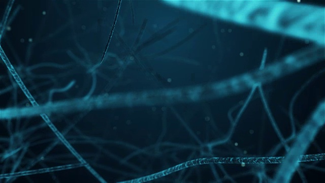 在人脑神经元中移动的动画视频下载
