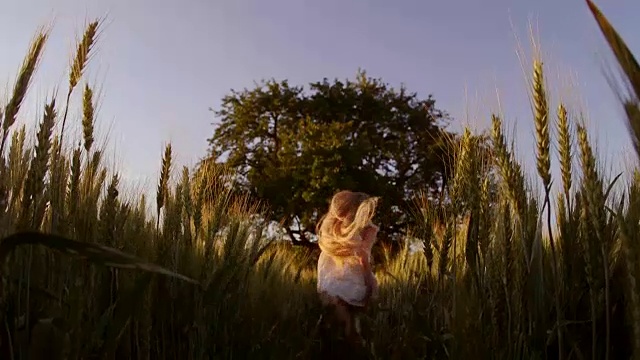 小女孩在日落时跑过麦田。慢镜头，高速摄影机视频素材