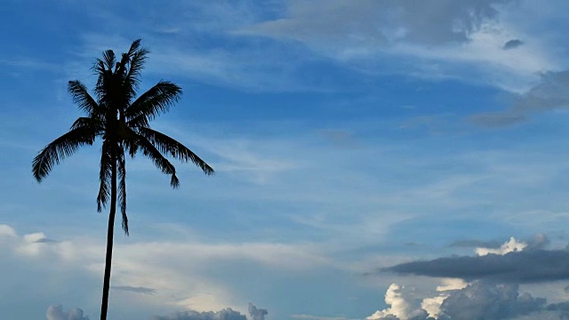白沙热带海滩与绿松石水，椰子树摇摆在风中和路过。视频下载