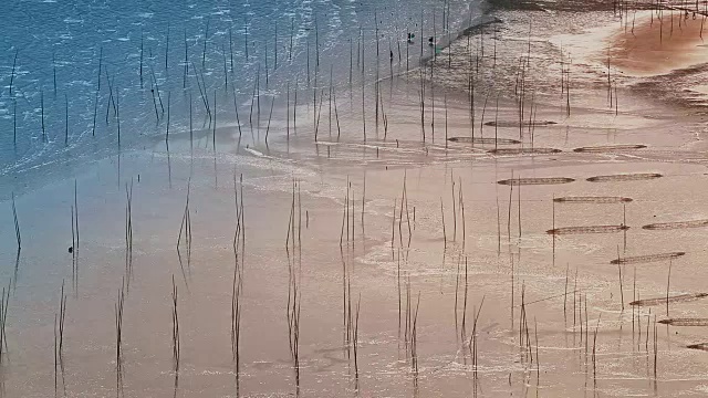 中国福建霞浦，渔民在艺术泥滩上捕鱼。视频下载