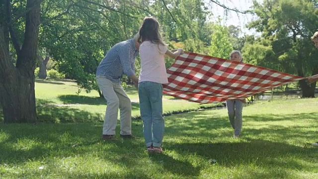 多代家庭在公园里铺毯子视频购买