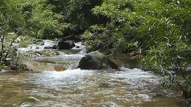 热带雨林中的瀑布。视频素材