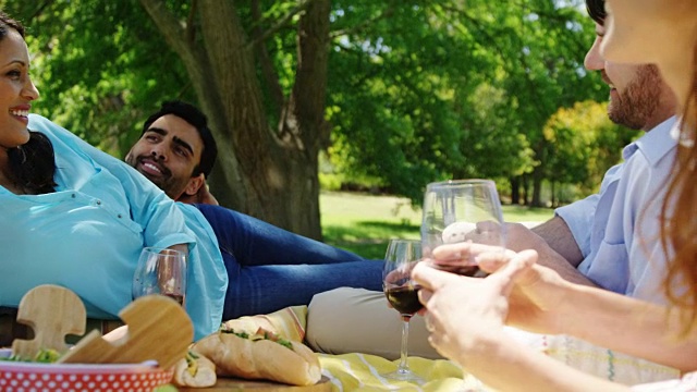 情侣们在公园里一边喝红酒一边互动视频素材