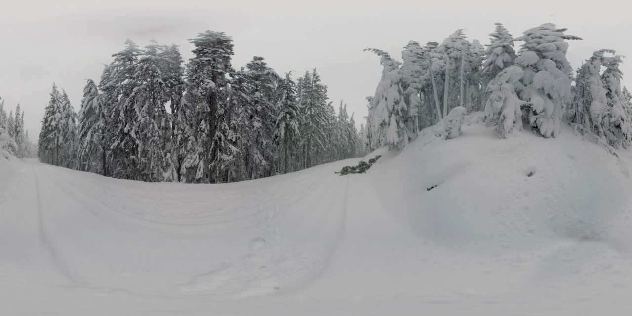 冬季小径场景，俄勒冈视频下载