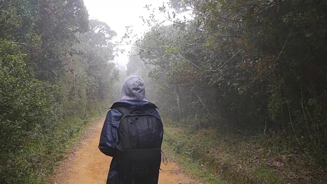 徒步女子背包行走在热带潮湿的森林。年轻的女孩在旅行中穿着雨衣在森林小径上。跟随女游客踩在丛林小径。慢镜头后视图视频素材